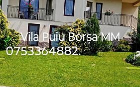Vila Puiu Borsa Mm